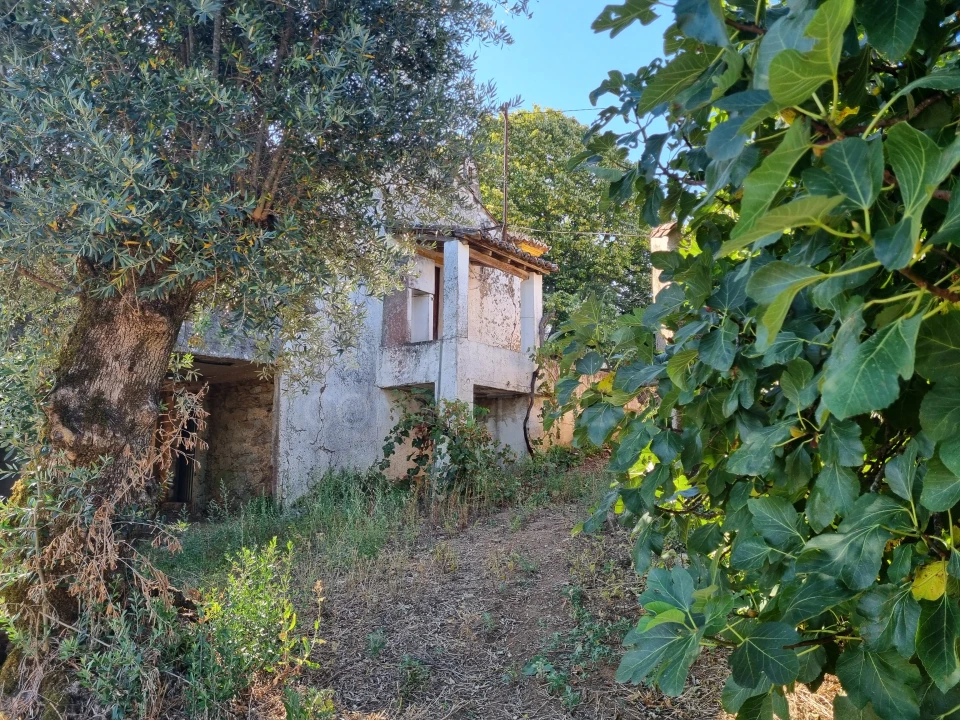 Moradia T2 para Venda em Mouriscas Foto 5