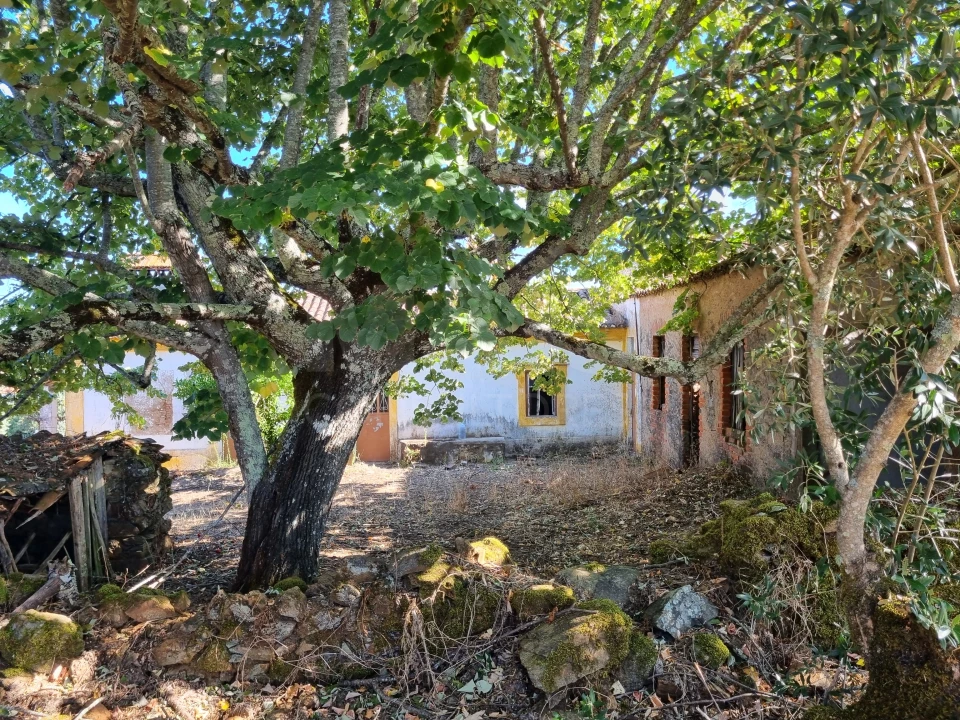 Moradia T2 para Venda em Mouriscas Foto 3