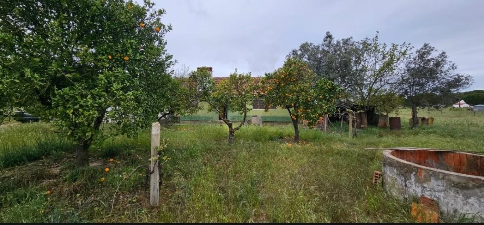 Quinta T2 para Venda em Grândola e Santa Margarida da Serra Foto 1