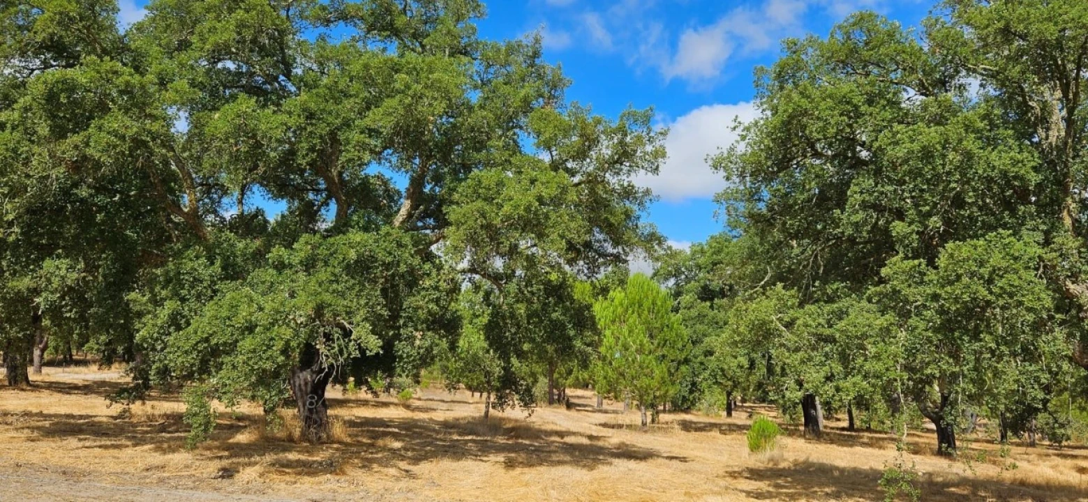 Quinta T2 para Venda em Grândola e Santa Margarida da Serra Foto 21