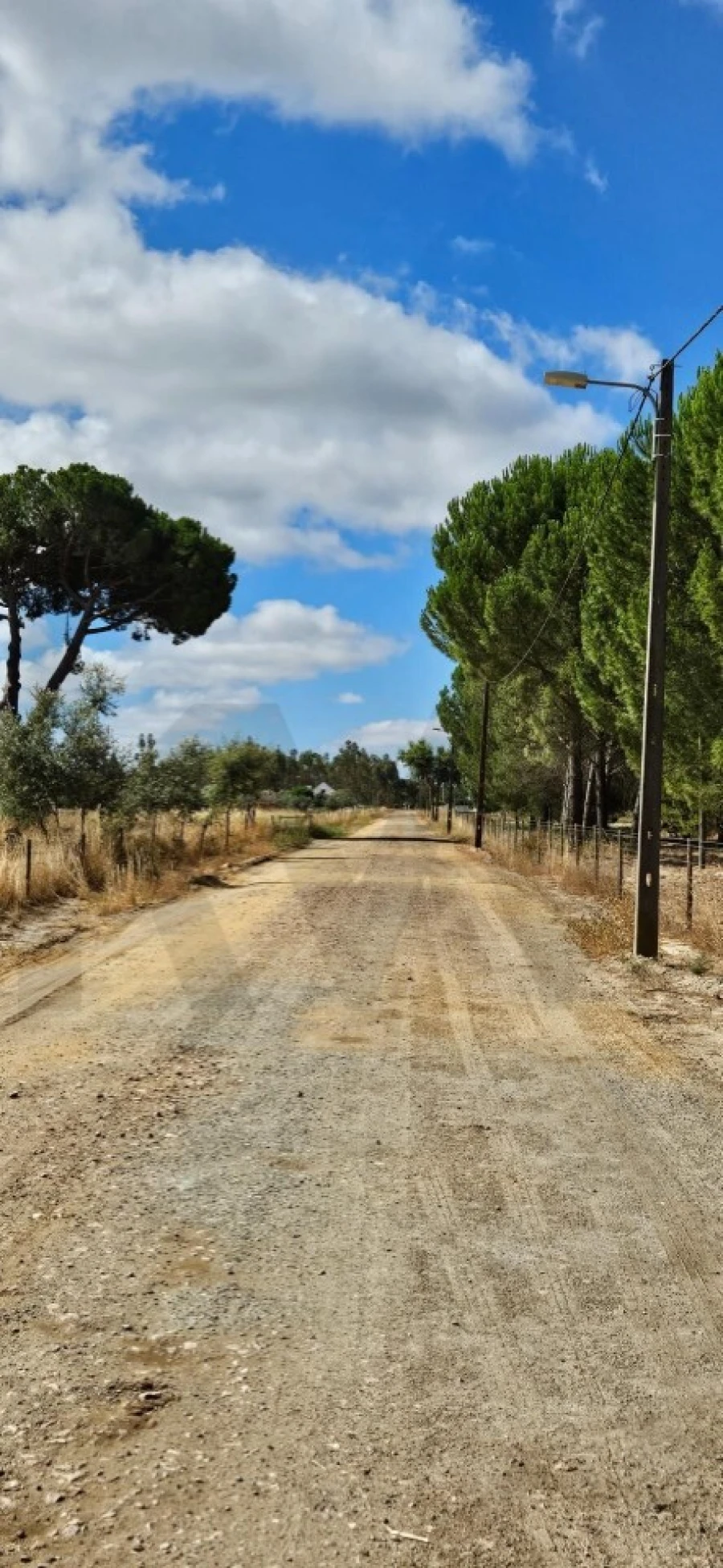 Quinta T2 para Venda em Grândola e Santa Margarida da Serra Foto 11