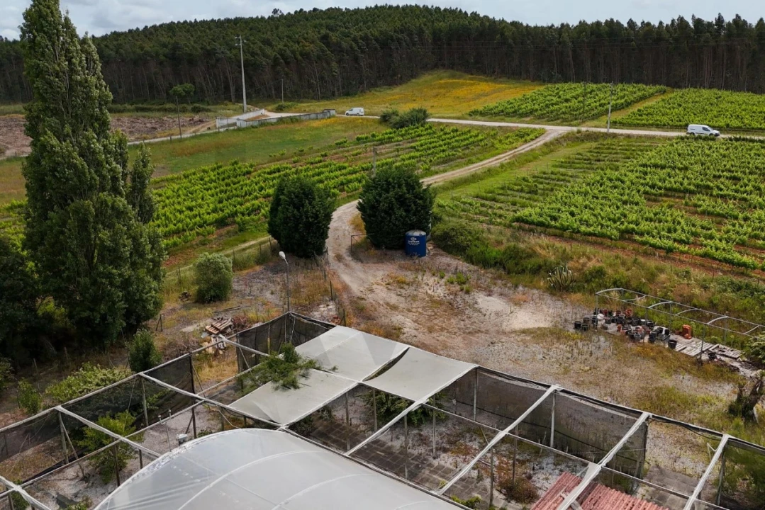 Terreno para Venda em Ramalhal Foto 11