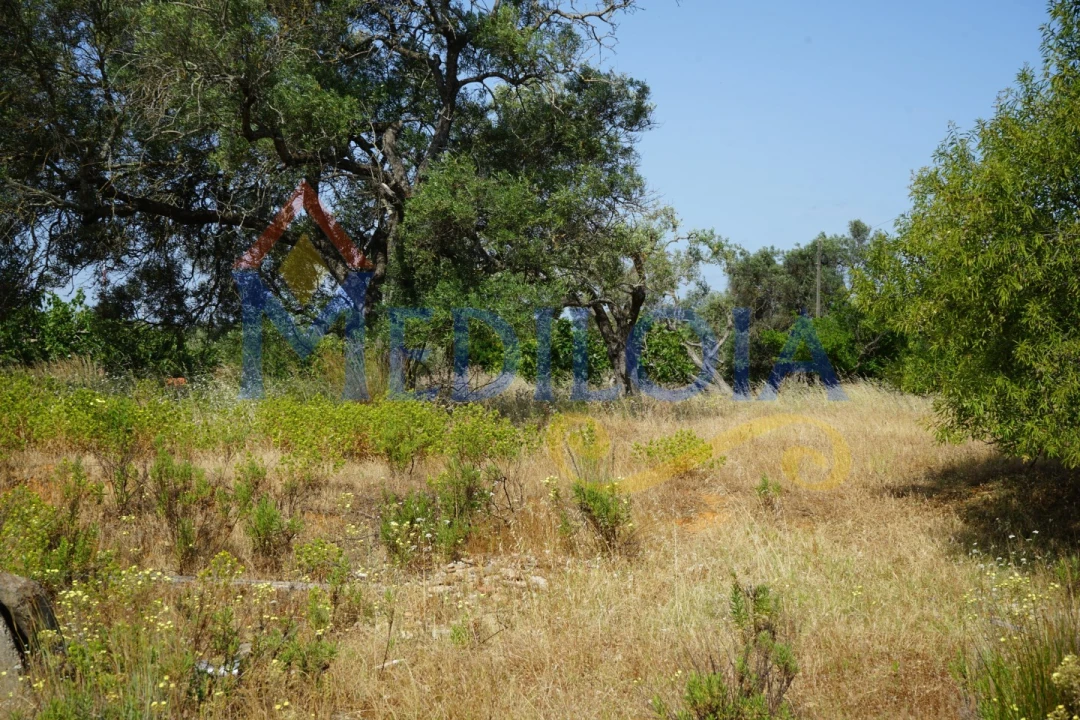 Terreno para Venda em Vila Nova de Cacela Foto 8