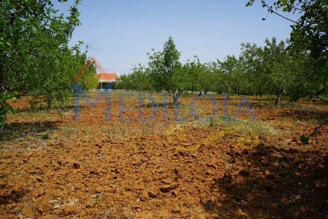 Terreno Agricola ou Rústico para Venda em Vila Nova de Cacela Foto 5