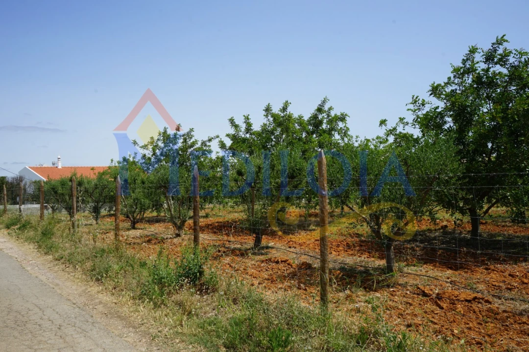 Terreno Agricola ou Rústico para Venda em Vila Nova de Cacela Foto 9