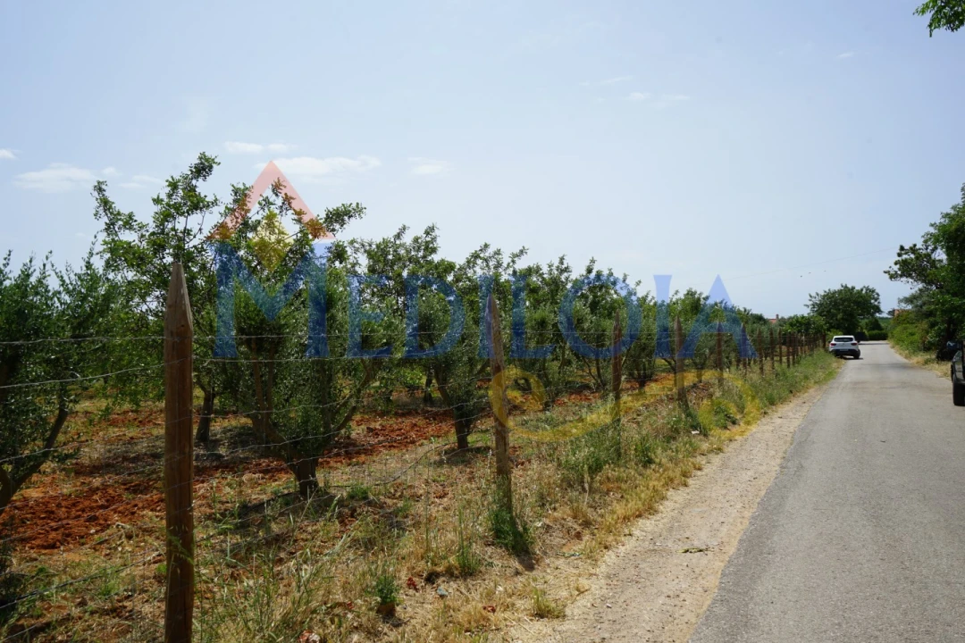 Terreno Agricola ou Rústico para Venda em Vila Nova de Cacela Foto 10