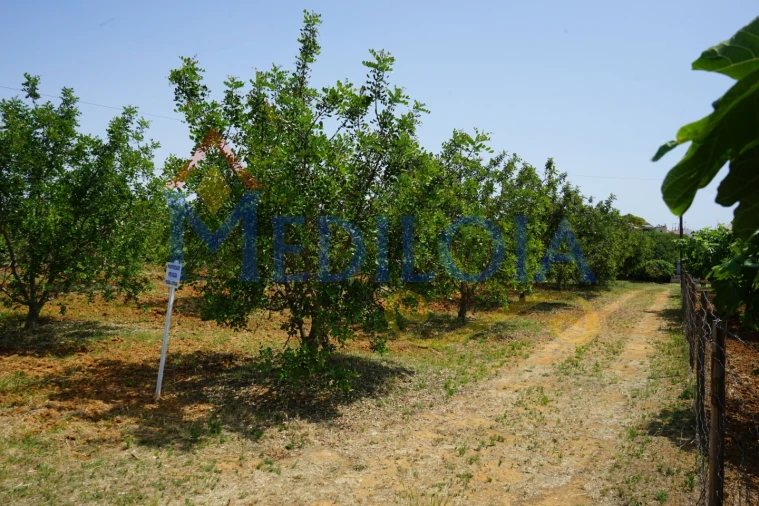 Terreno Agricola ou Rústico para Venda em Vila Nova de Cacela Foto 2