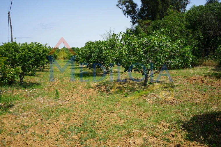 Terreno Agricola ou Rústico para Venda em Vila Nova de Cacela Foto 3