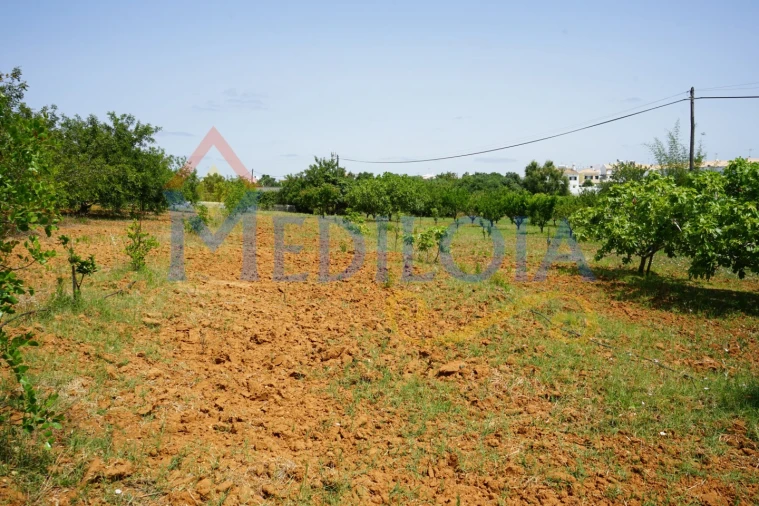 Terreno Agricola ou Rústico para Venda em Vila Nova de Cacela Foto 4