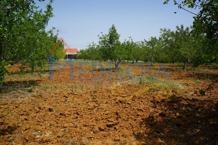 Terreno Agricola ou Rústico para Venda em Vila Nova de Cacela Foto 5