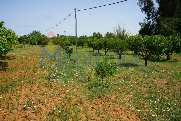 Terreno Agricola ou Rústico para Venda em Vila Nova de Cacela Foto 6