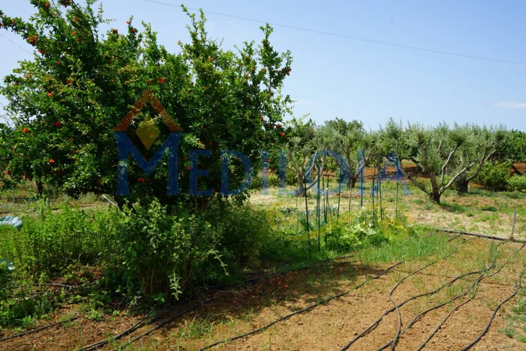 Terreno Agricola ou Rústico para Venda em Vila Nova de Cacela Foto 8