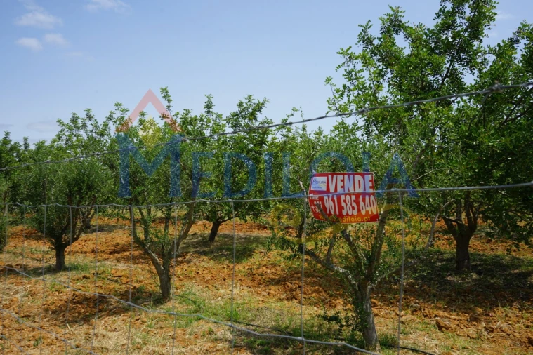 Terreno Agricola ou Rústico para Venda em Vila Nova de Cacela Foto 12
