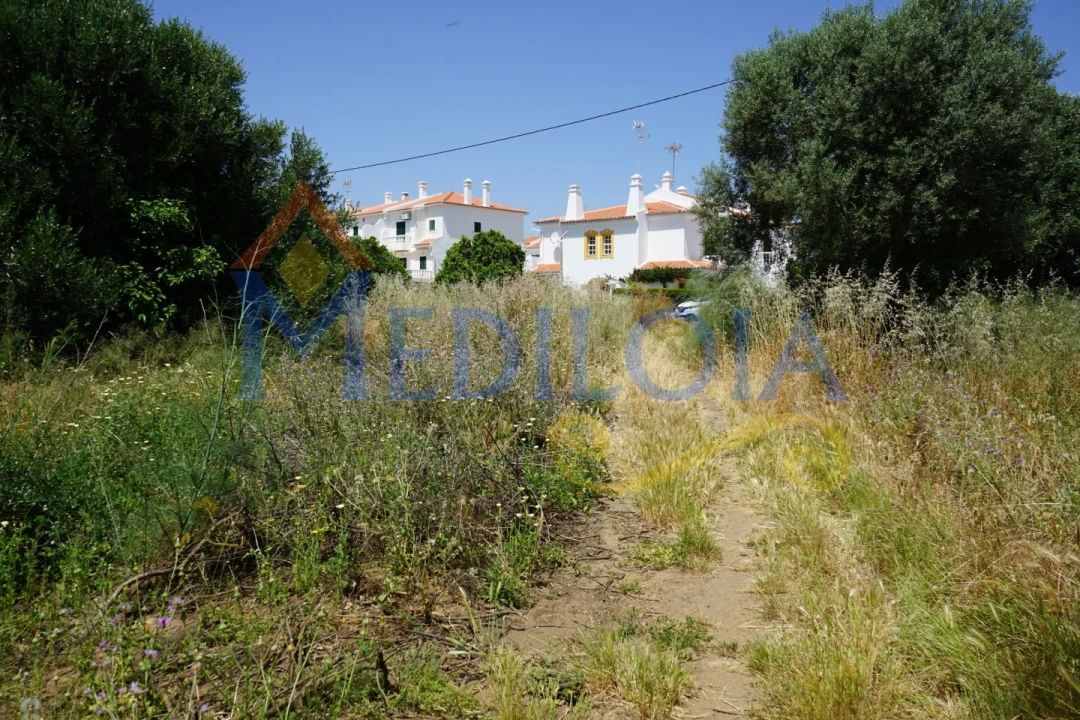 Terreno para Venda em Altura Foto 2