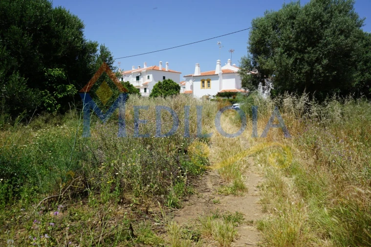 Terreno para Venda em Altura Foto 2