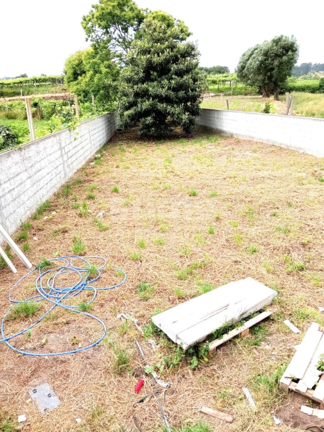 Moradia T4 para Venda em Fragoso Foto 22