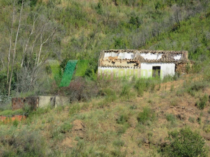 Terreno Misto para Venda em Alferce Foto 16