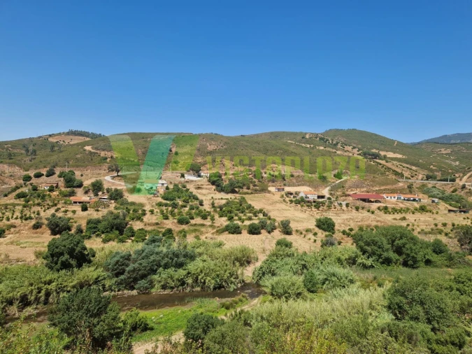 Terreno Misto para Venda em Alferce Foto 14