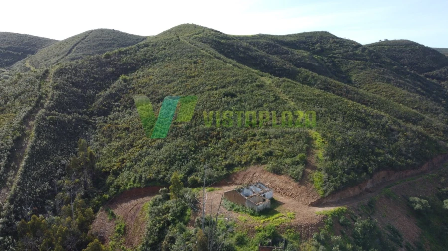 Terreno Misto para Venda em Alferce Foto 12