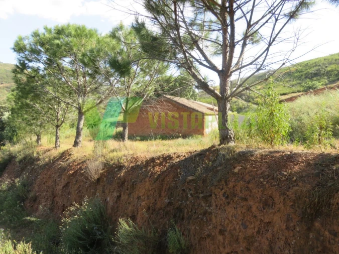 Terreno Misto para Venda em Alferce Foto 3