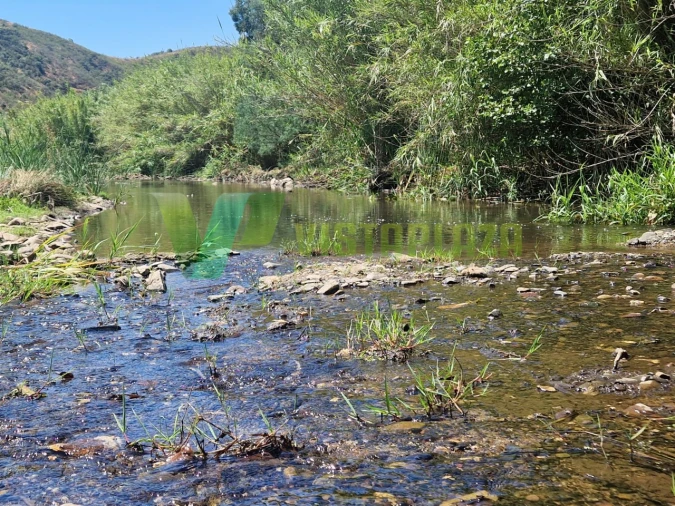 Terreno Misto para Venda em Alferce Foto 13
