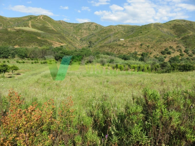 Terreno Misto para Venda em Alferce Foto 16