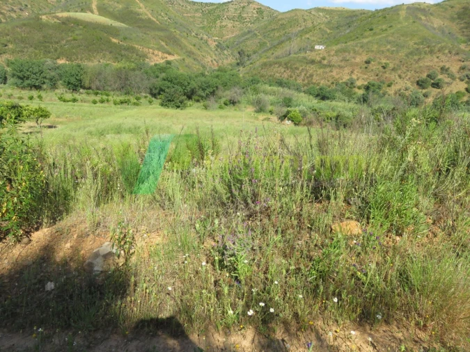 Terreno Misto para Venda em Alferce Foto 17
