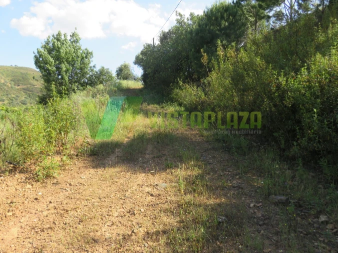 Terreno Misto para Venda em Alferce Foto 18