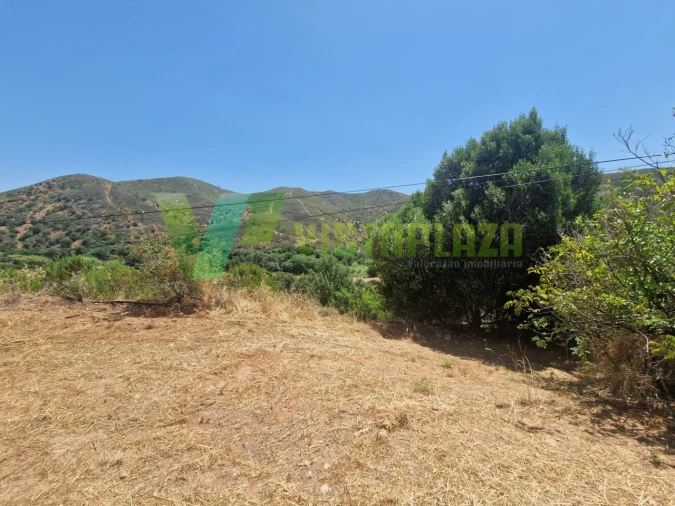 Terreno Misto para Venda em Alferce Foto 19