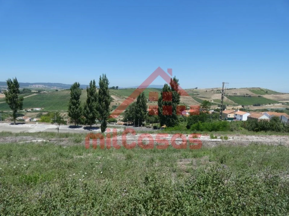 Terreno para Venda em Carvoeira e Carmões Foto 24