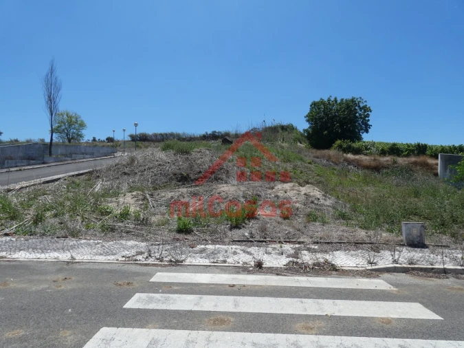 Terreno para Venda em Carvoeira e Carmões Foto 10