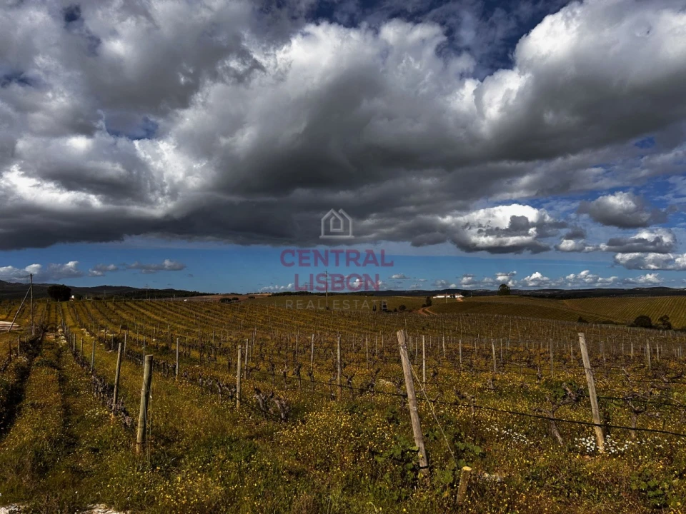 Terreno Misto para Venda em Terena (São Pedro) Foto 1