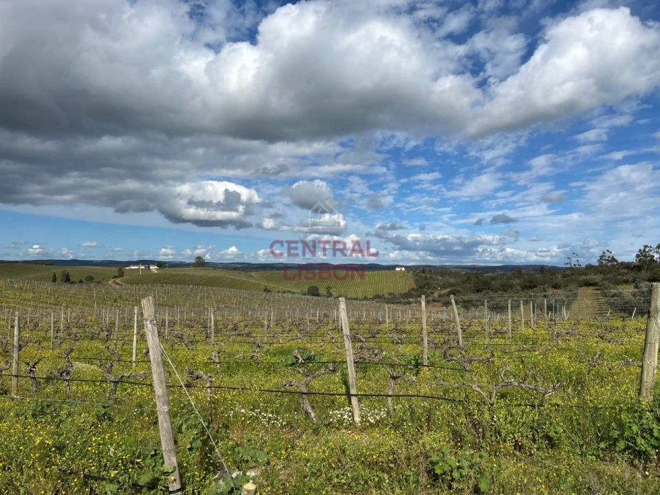 Terreno Misto para Venda em Terena (São Pedro) Foto 5