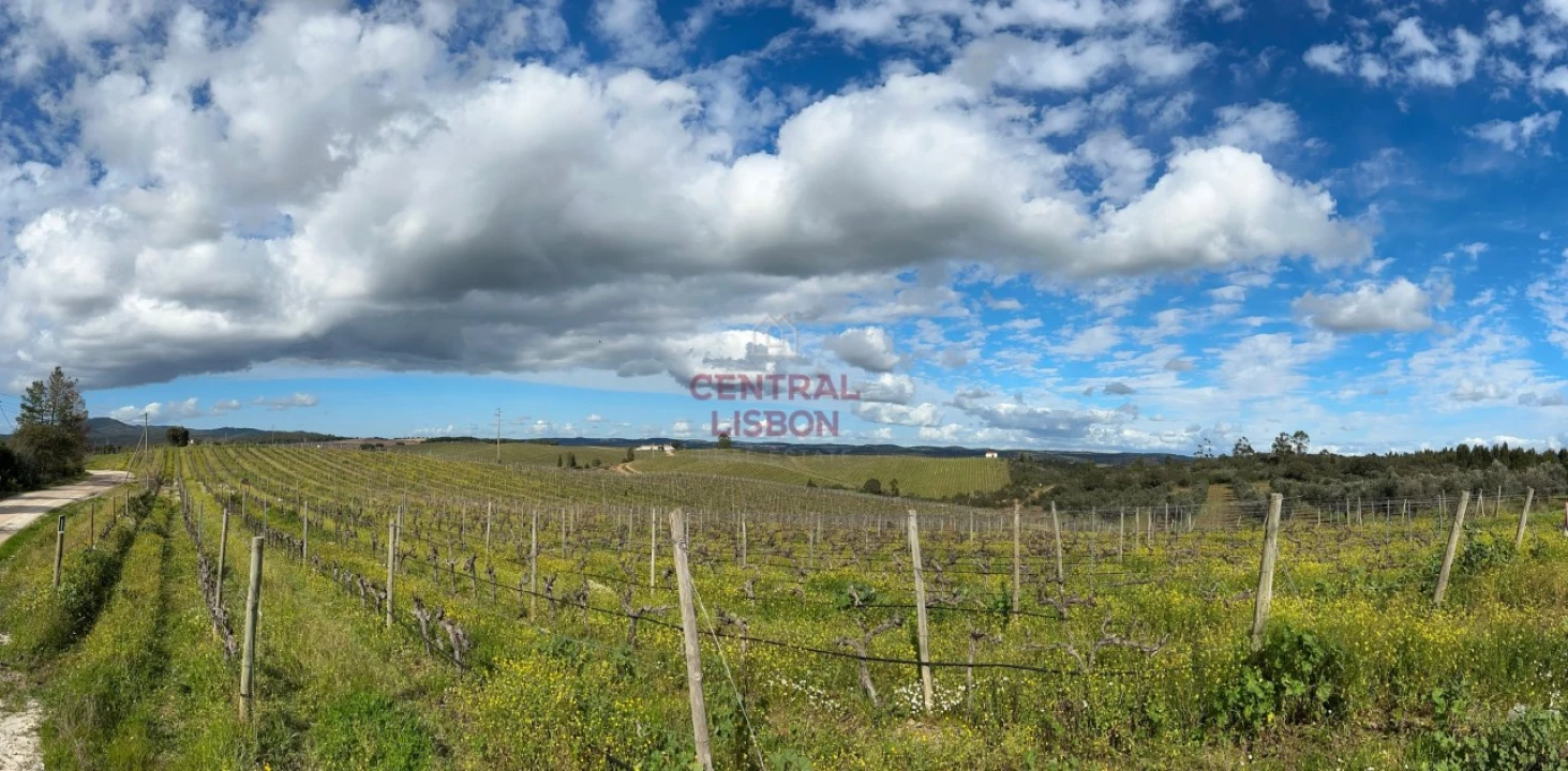 Terreno Misto para Venda em Terena (São Pedro) Foto 6