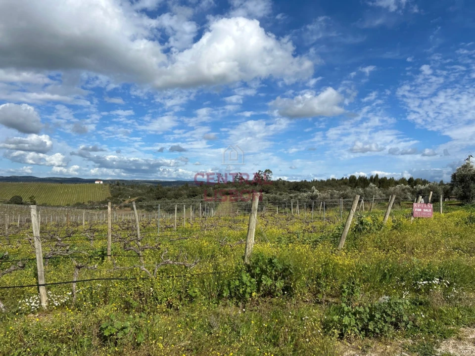 Terreno Misto para Venda em Terena (São Pedro) Foto 8