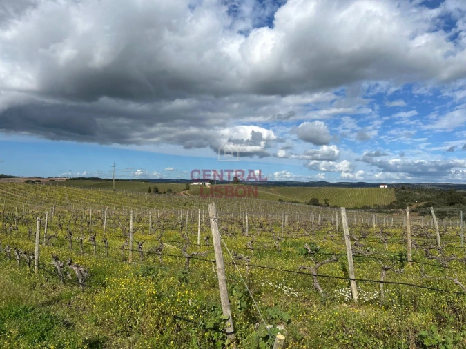 Terreno Misto para Venda em Terena (São Pedro) Foto 4