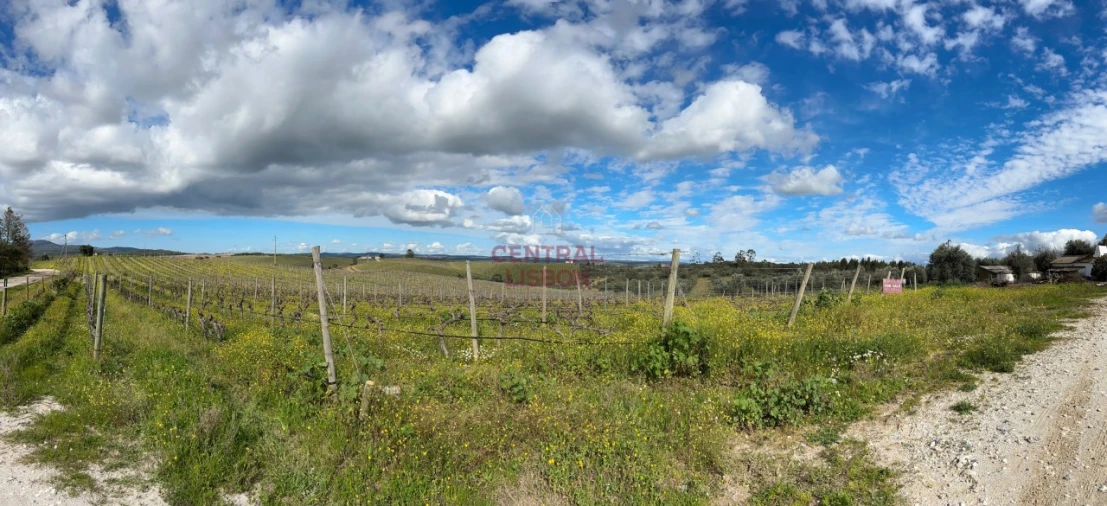 Terreno Misto para Venda em Terena (São Pedro) Foto 11