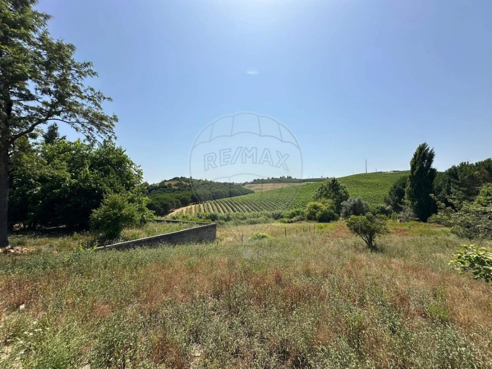 Moradia T3 para Venda em Manique do Intendente, Vila Nova de São Pedro e Maçussa Foto 36