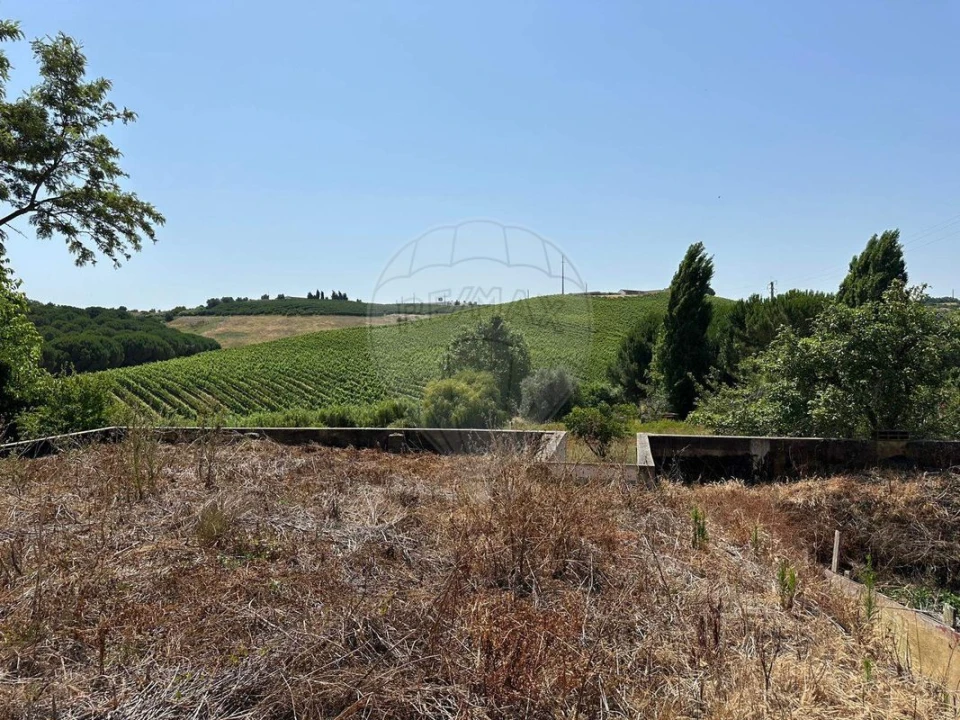 Moradia T3 para Venda em Manique do Intendente, Vila Nova de São Pedro e Maçussa Foto 32