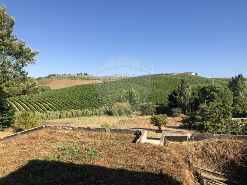 Moradia T3 para Venda em Manique do Intendente, Vila Nova de São Pedro e Maçussa Foto 23