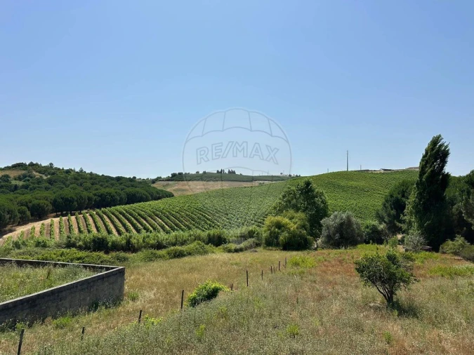 Moradia T3 para Venda em Manique do Intendente, Vila Nova de São Pedro e Maçussa Foto 4