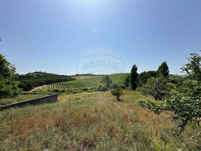 Moradia T3 para Venda em Manique do Intendente, Vila Nova de São Pedro e Maçussa Foto 31