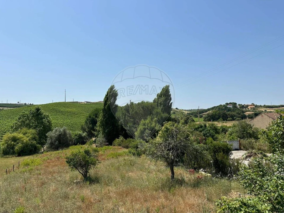 Moradia T3 para Venda em Manique do Intendente, Vila Nova de São Pedro e Maçussa Foto 26