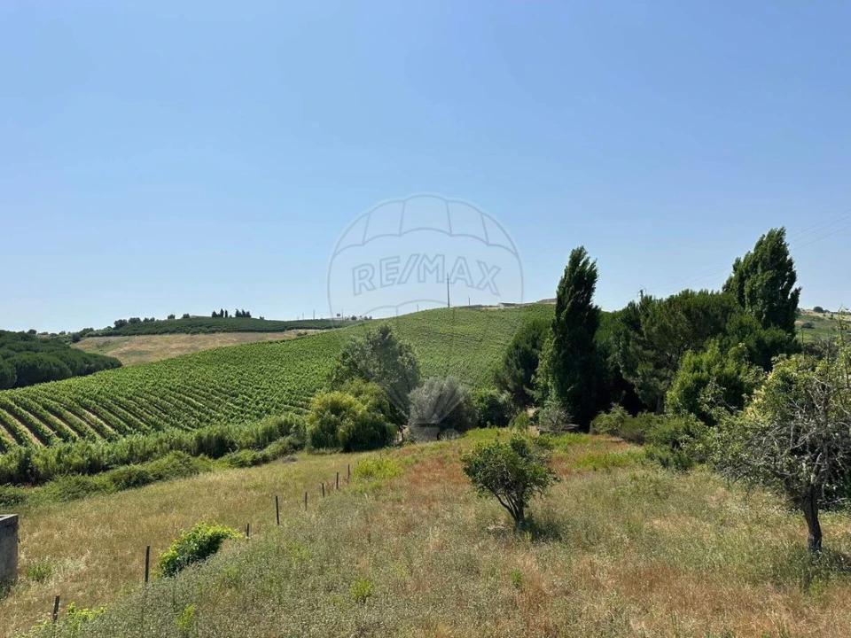 Moradia T3 para Venda em Manique do Intendente, Vila Nova de São Pedro e Maçussa Foto 25