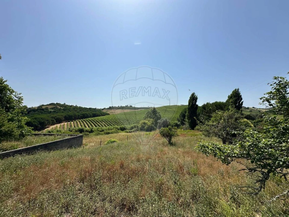 Moradia T3 para Venda em Manique do Intendente, Vila Nova de São Pedro e Maçussa Foto 31