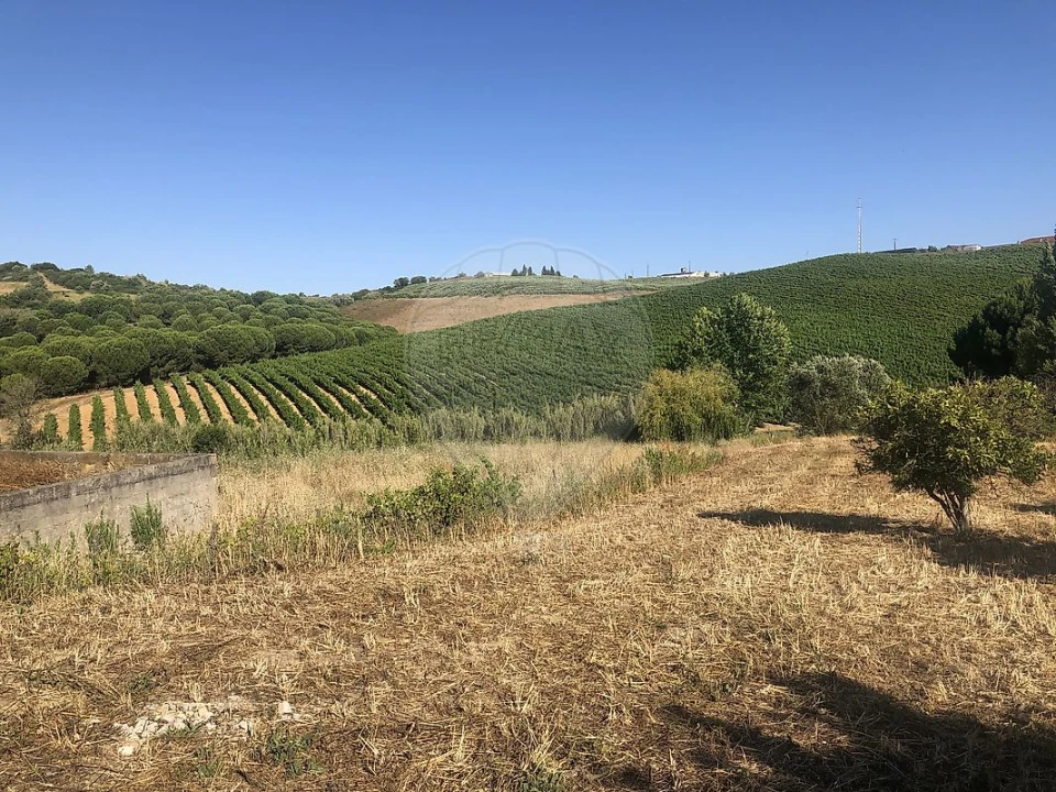 Moradia T3 para Venda em Manique do Intendente, Vila Nova de São Pedro e Maçussa Foto 21