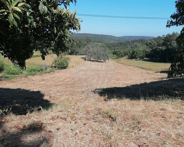Terreno para Venda em Vidais Foto 11
