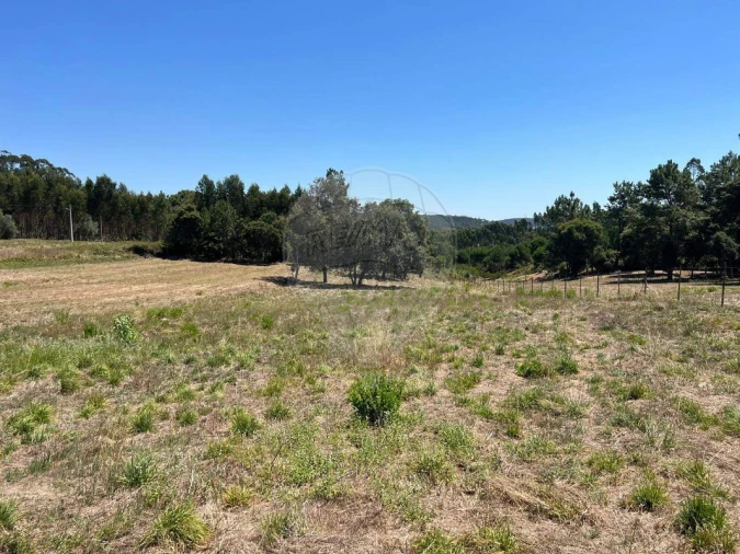 Terreno para Venda em Vidais Foto 3