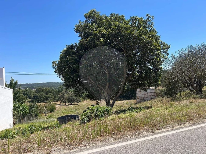 Terreno para Venda em Vidais Foto 8