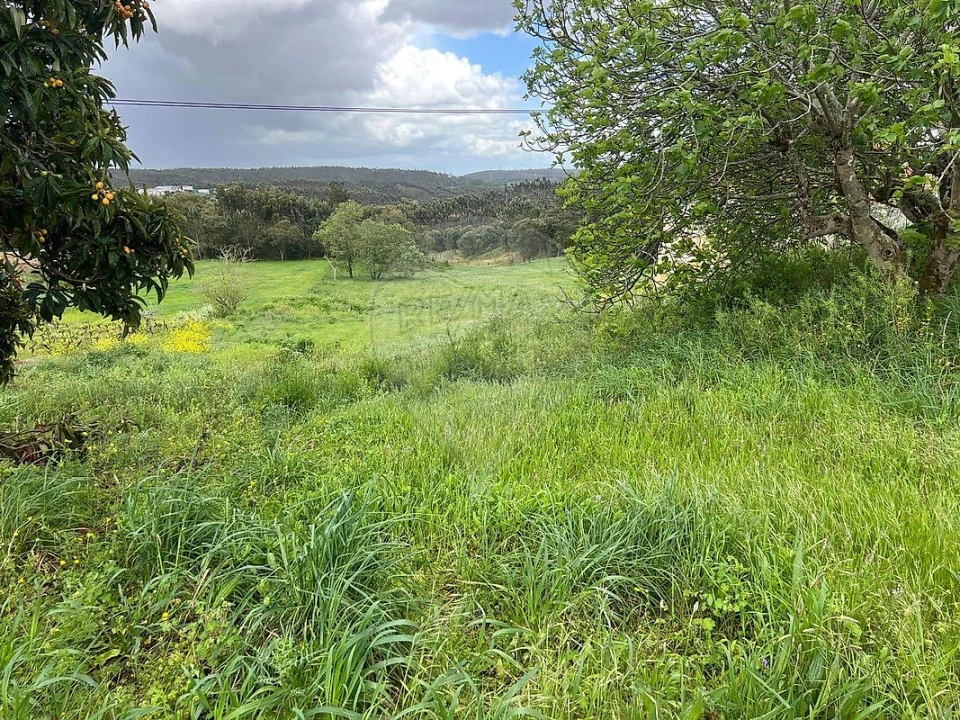 Terreno para Venda em Vidais Foto 12
